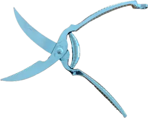 Geflügelschere 25cm