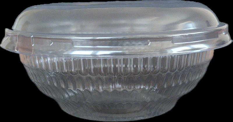 Salat Schale mit Deckel 610ml 5x50 Stk in Karton
