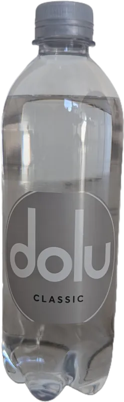 Dolu Kohlensüure Wasser mit Pfand 24x0,5ml