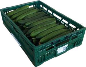 Gurken Krume 10 kg