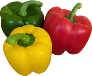 Paprika Mix frisch 10x500gr Tüte