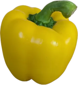 Paprika Mix frisch 10x500gr Tüte 3