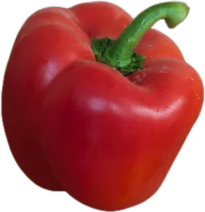 Paprika Mix frisch 10x500gr Tüte 2