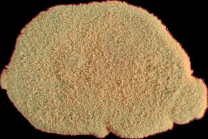 Schweineschnitzel 60x120gr