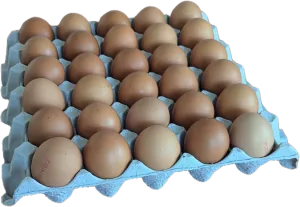 Eier L 21x10 stück karton