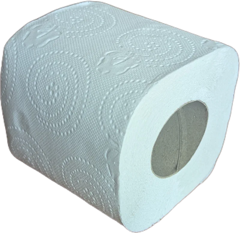 Toilettenpapier 72 rollen in Pack